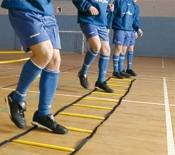 Precision Training Indoor Speed Agility Ladder